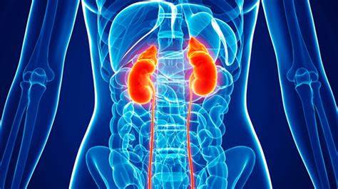 KIDNEY PROBLEMS (SACRAL CHAKRA)