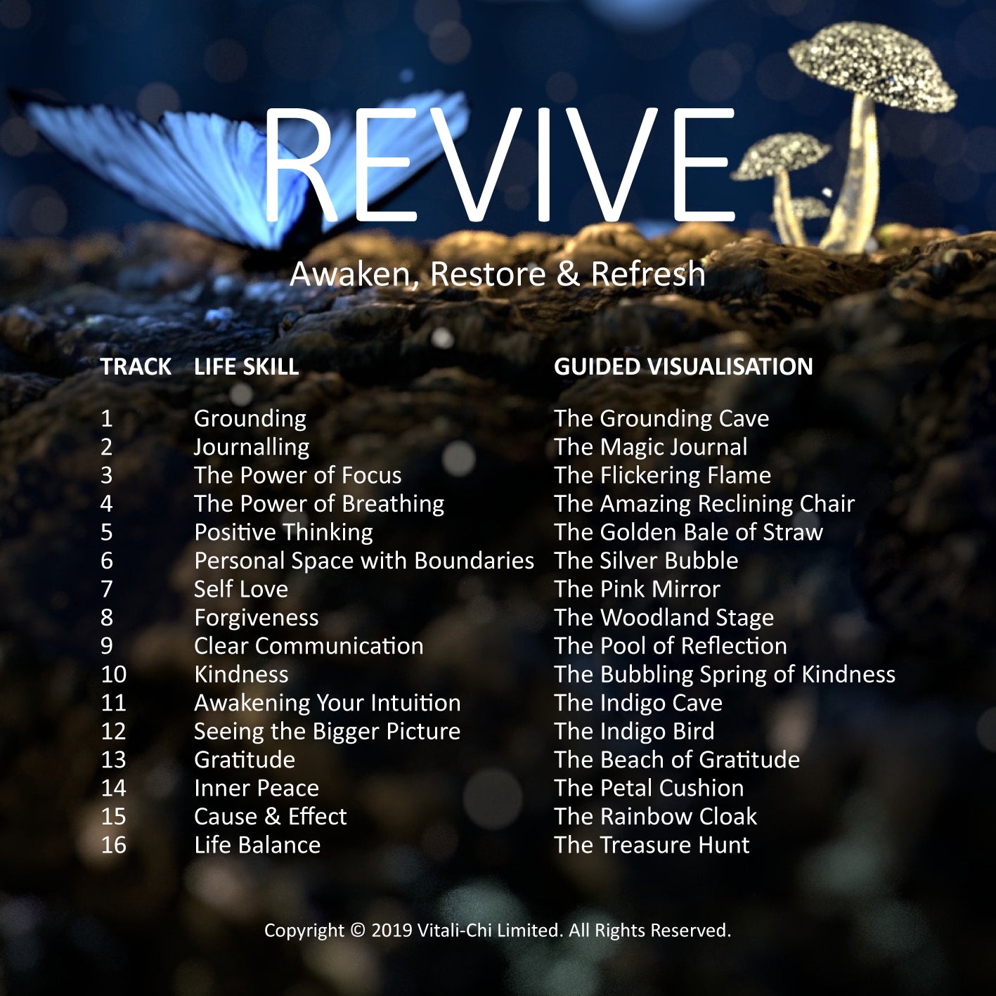 Relax PLUS Leader Package (for set of 10 + exclusive guided visualisations) - Vitali-Chi - Pure and Natural